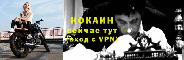 кокаин Богданович
