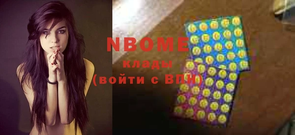 apvp Бородино